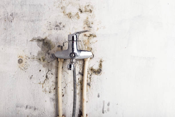 Best Water Damage Restoration  in Jasper, GA