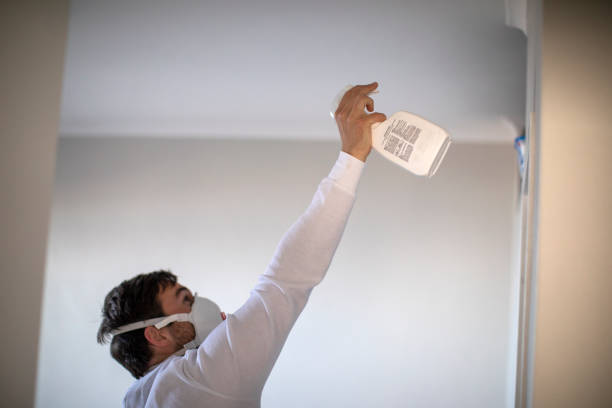 Best Mold Inspection  in Jasper, GA