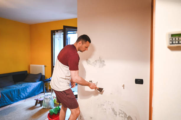Best Commercial Mold Removal  in Jasper, GA